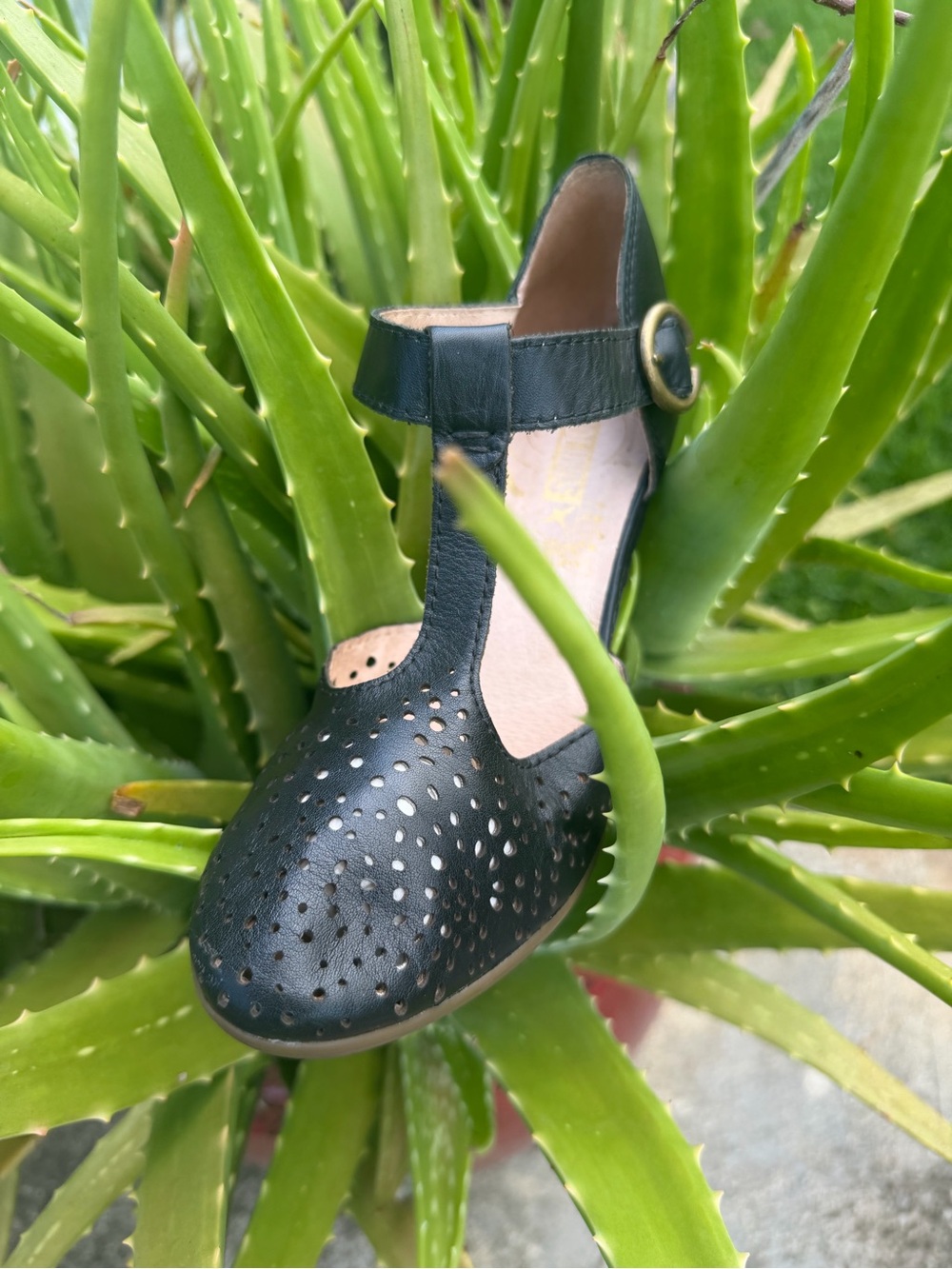 PIKOLINOS Black T-Strap low Heel Pumps with laser cut dots size 37